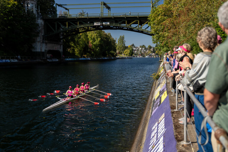 Rowers on Montlake Cut